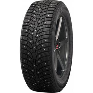 205/55R16 Nankang Ice Activa SW-9 Naast