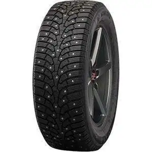 205/55R16 Nankang Ice Activa SW-9 Naast